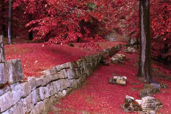 Murus Dacicus Στο Sarmizegetusa Στα Όμορφα Χρώματα Του Φθινοπώρου — Φωτογραφία Αρχείου
