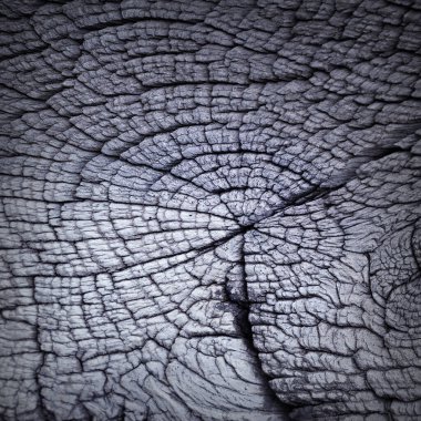 Meşe kirişinin ilginç arkaplan bölümü, dizaynınız için ahşap doku