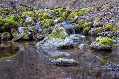 Apuseni dağlarındaki güzel dağ nehri, Borzesti geçitleri