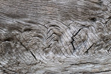 Güzel, detaylı meşe kalası dokusu tasarımınız için hazır.