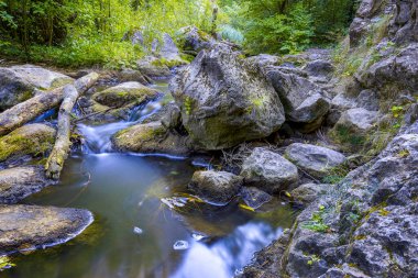 Romanya 'nın Tureni Vadisi' ndeki kayalıkların üzerindeki güzel dağ deresi