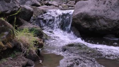 Vahşi bir kireçtaşı deresine akan bir su akışının rahatlatıcı görüntüleri