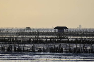 Arka plan Silueti Tayland 'da çamurlu denizin akşam güneşi