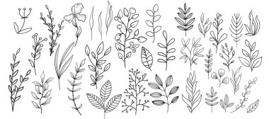 Bitki brunchları farklı ağaç yaprakları da dahil olmak üzere karalama çizimleri. El çizimi sevimli orman sanatı - okaliptüs, eğrelti otu, böğürtlen, yaban mersini.
