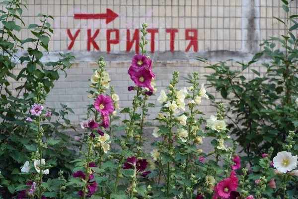 Ukrainian Summer 2023 Bomb Shelter Sign — Stock Photo, Image