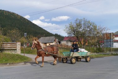Verkhovina, Ukrayna, Ekim 2023. Köy caddesinde at arabası var.