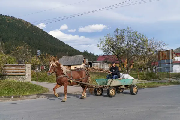 Verkhovina Ουκρανία Οκτώβριος 2023 Βόλτα Άλογα Στο Δρόμο Του Χωριού — Φωτογραφία Αρχείου