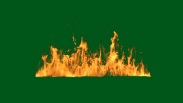 Fire Green Screen Abstract Technology Science Engineering Artificial Intelligence Seamless — Stock Video