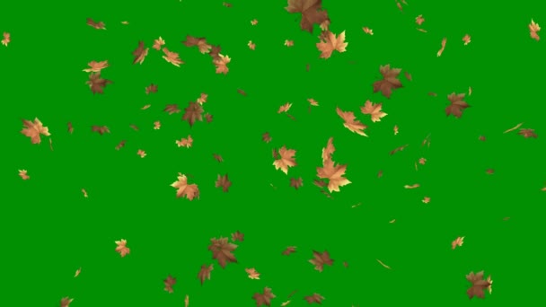 落叶绿屏 摘要技术 工程技术智能 无缝圈4K视频 3D动画 超高清晰度 4K视频 — 图库视频影像