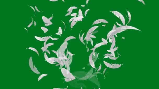 羽の緑の画面 抽象技術 工学人工知能 シームレスループ4Kビデオ 3Dアニメーション 超高精細 4Kビデオ — ストック動画