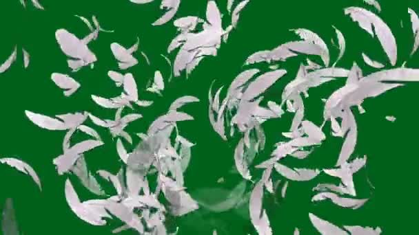 羽の緑の画面 抽象技術 工学人工知能 シームレスループ4Kビデオ 3Dアニメーション 超高精細 4Kビデオ — ストック動画