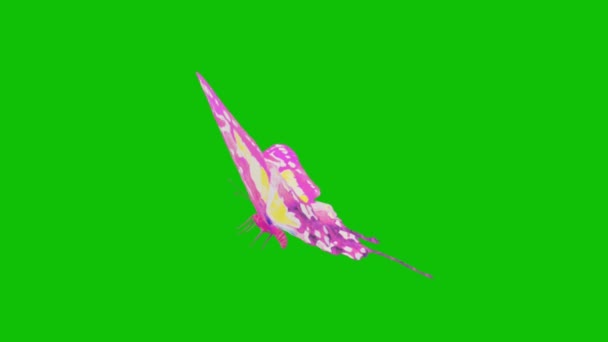 Метелик Літаючий Зелений Екран Абстрактні Технології Наука Інженерний Штучний Інтелект — стокове відео
