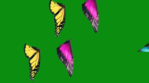Kelebek Uçan Yeşil Ekran Soyut Teknoloji Mühendislik Yapay Zeka Dikişsiz — Stok video