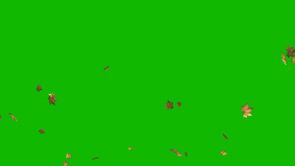 秋のカエデは緑の画面に落ちる葉 抽象技術 工学人工知能 シームレスループ4Kビデオ 3Dアニメーション 超高精細 4Kビデオ — ストック動画