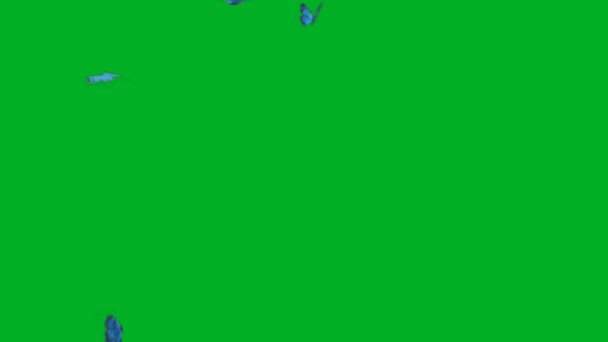 Зеленый Экран Бабочки Абстрактные Технологии Наука Инженерный Искусственный Интеллект Бесшовный — стоковое видео