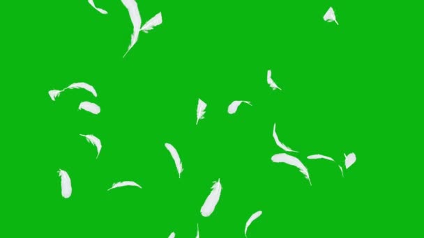 Feather Green Screen Abstract Technology Science Engineering Artificialintelligence Seamless Loop — Stock Video
