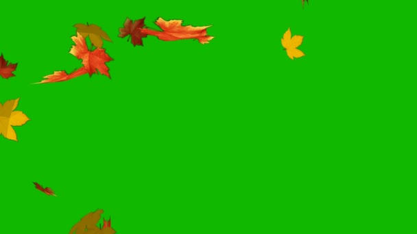 Sonbahar Akçaağaç Yaprakları Yeşil Renkli Arka Plan Animasyonu Yeşil Ekran — Stok video