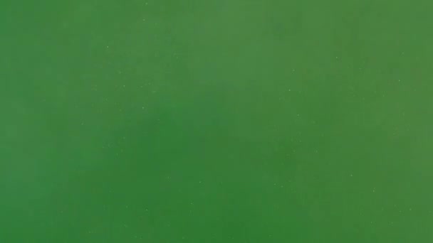 Зеленый Экран Анимации Пыли Песка Зеленый Экран Анимации Vfx Абстрактные — стоковое видео