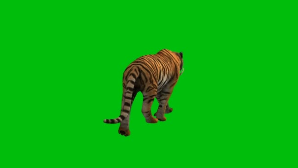 Tiger Premium Quality Grön Skärm Abstrakt Teknik Vetenskap Teknik Artificiell — Stockvideo