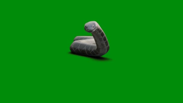 Snake Premium Quality Zöld Képernyő Hatás Absztrakt Technológia Tudomány Mérnöki — Stock videók