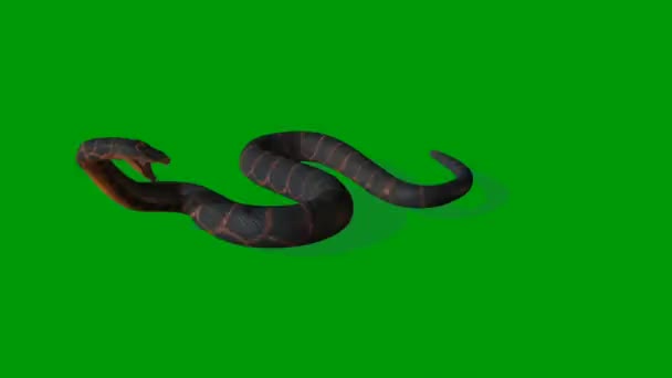 Snake Premium Efek Layar Hijau Kualitas Teknologi Abstrak Ilmu Pengetahuan — Stok Video
