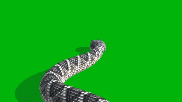 Snake Quality Green Screen Effect Технология Abstrazeneca Наука Инженерный Искусственный — стоковое видео