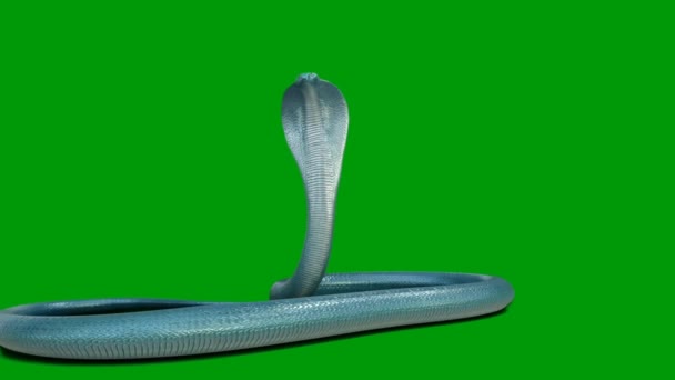 Snake Premium Qualité Effet Écran Vert Technologie Abstraite Science Ingénierie — Video