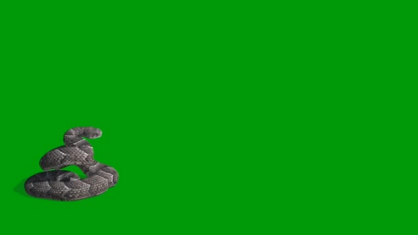 Snake Premium Quality Green Screen Effect Abstrakt Technology Science Engineering — Stock video