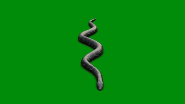 Змія Преміум Якості Зелений Екран Ефект Абстрактна Технологія Наука Інженерний — стокове відео