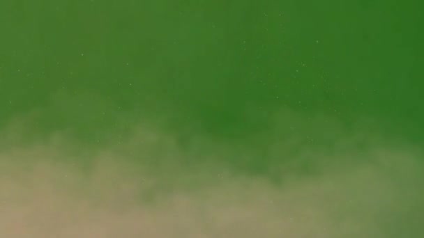 Polvo Desierto Arena Calidad Premium Video Animación Pantalla Verde Tecnología — Vídeo de stock