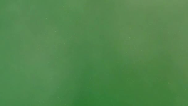Pył Pustynia Piasek Premium Jakość Zielony Ekran Animacja Wideo Technologia — Wideo stockowe