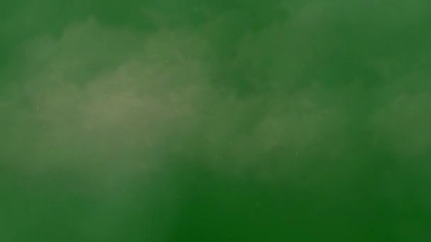 Pył Pustynia Piasek Premium Jakość Zielony Ekran Animacja Wideo Technologia — Wideo stockowe