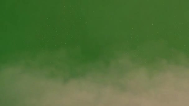 Стоковые Видео Dust Texture ⬇ Скачать Футажи Dust Texture.