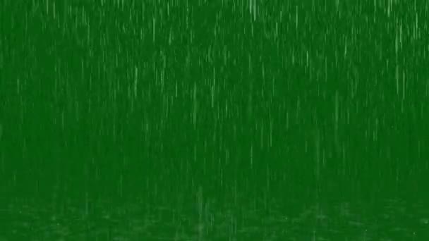 Rain Premium Kualitas Hijau Layar Rekaman Vfx Animasi Layar Hijau — Stok Video