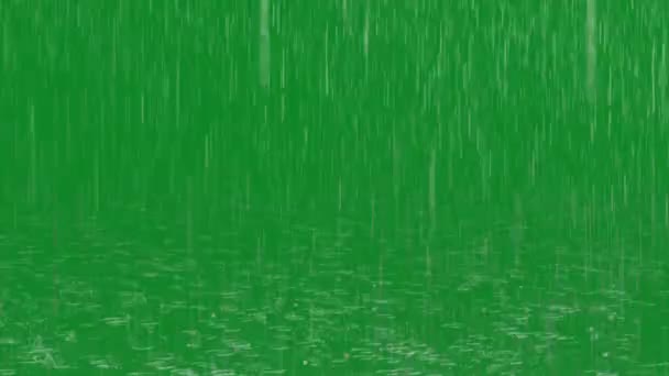 Imagens Tela Verde Qualidade Premium Chuva Tela Verde Animação Vfx — Vídeo de Stock