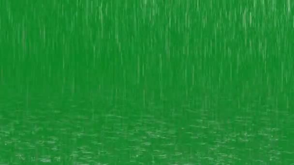 Imagens Tela Verde Qualidade Premium Chuva Tela Verde Animação Vfx — Vídeo de Stock
