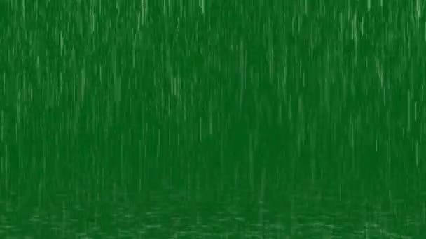 Rain Premium Kualitas Hijau Layar Rekaman Vfx Animasi Layar Hijau — Stok Video