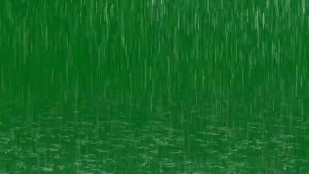 Rain Premium Quality Green Screen Footage Animacja Vfx Green Screen — Wideo stockowe