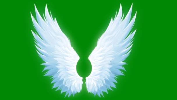Angel Wings High Quality Green Screen Abstract Technology Science Engineering — Stock Video