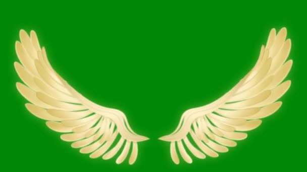 Engel Vleugels Hoge Kwaliteit Groen Scherm Abstract Technologie Wetenschap Engineering — Stockvideo