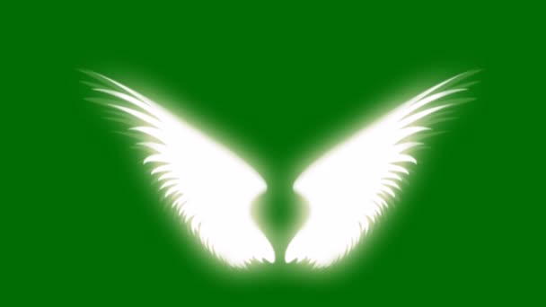 Angel Wings Schermo Verde Alta Qualità Tecnologia Astratta Scienza Ingegneria — Video Stock