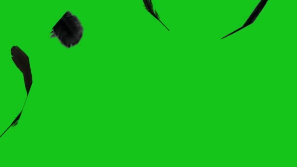 羽高品質グリーンスクリーン 抽象技術 工学人工知能 シームレスループ4Kビデオ 3Dアニメーション 超高精細 4Kビデオ — ストック動画