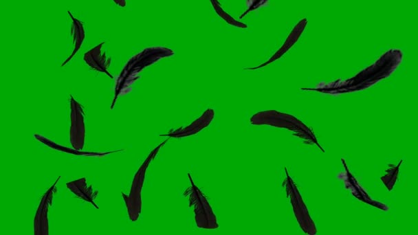 Feather High Quality Green Screen Abstract Technology Science Engineering Artificial — Stock Video
