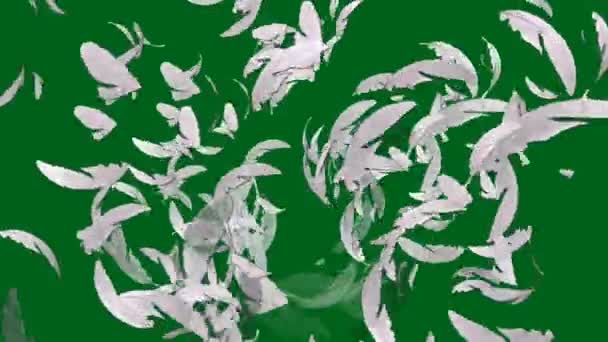 羽毛高质量绿色屏幕 文摘技术 工程人工智能 无缝圈4K视频 3D动画 超高清晰度 4K视频 — 图库视频影像