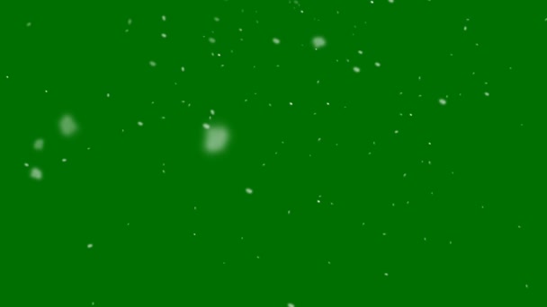 Snow Fall High Quality Green Screen Abstract Technology Science Engineering — Stock Video