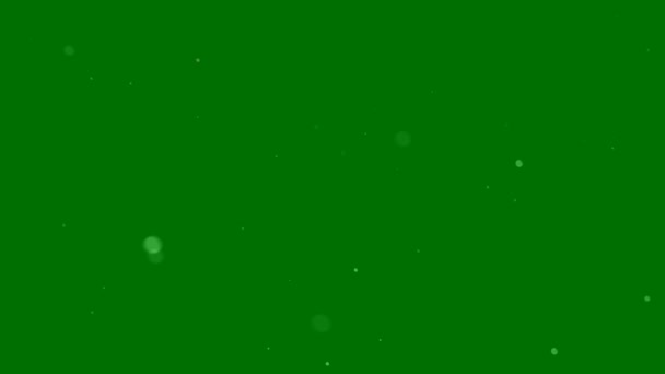 Schneefall High Quality Green Screen Abstrakte Technologie Wissenschaft Technische Künstliche — Stockvideo