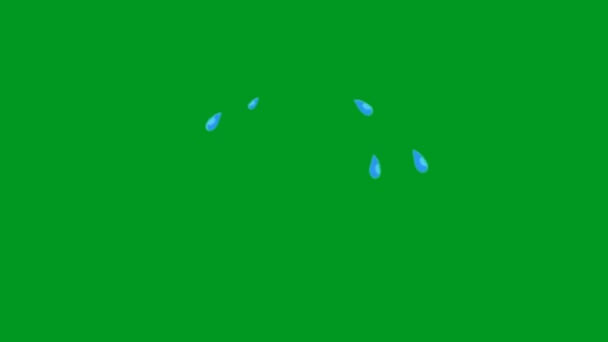 Tranen Hoge Resolutie Video Groen Scherm Animatie Ultra High Definition — Stockvideo
