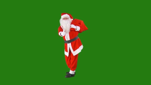 Санта Клаус Высокого Разрешения Простое Съедобное Видео Зеленого Экрана Высококачественная — стоковое видео