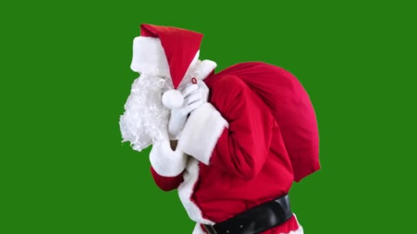 Санта Клаус Высокого Разрешения Простое Съедобное Видео Зеленого Экрана Высококачественная — стоковое видео