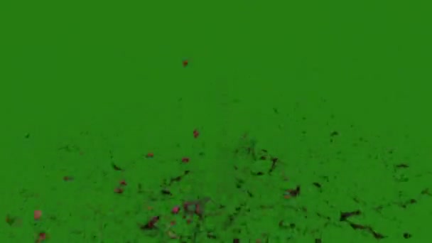 Органические Брызги Крови Элемент Легко Редактируемый Зеленый Экран Видео Любое — стоковое видео